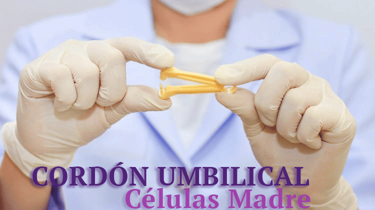 Células Madre Cordón Umbilical en Costa Rica