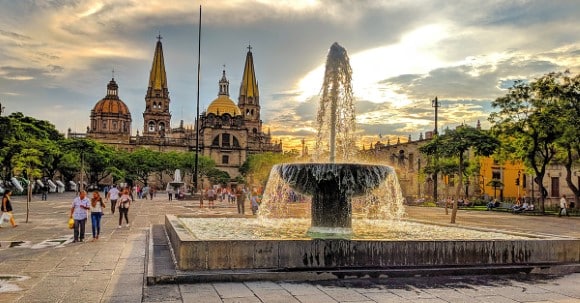 Celulas madre en Guadalajara